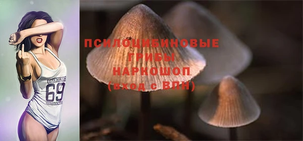 spice Алексеевка